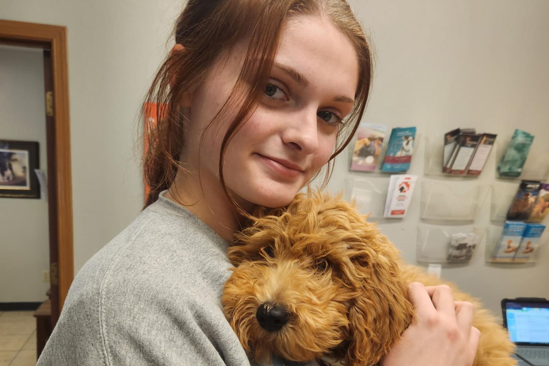 vet staff holding a dog