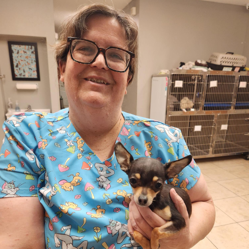 vet staff holding a dog